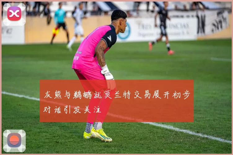 灰熊与鹈鹕就莫兰特交易展开初步对话引发关注
